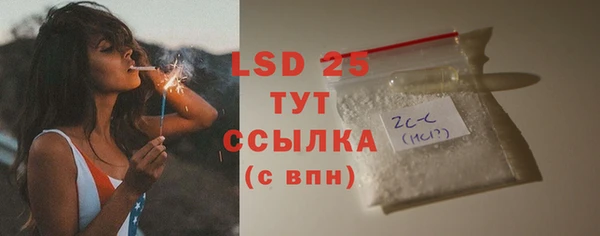 стафф Аркадак