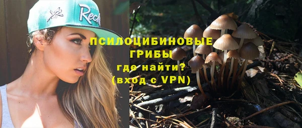 стафф Аркадак
