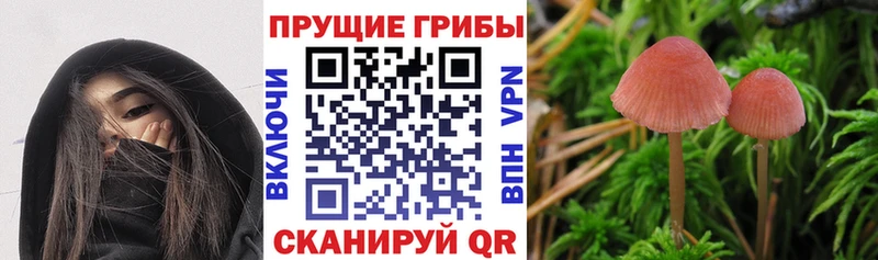 omg как войти  Кумертау  Галлюциногенные грибы мухоморы  купить наркотики сайты 